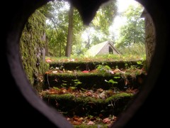 la cave Moreau©Jean-Michel Faivre.jpg